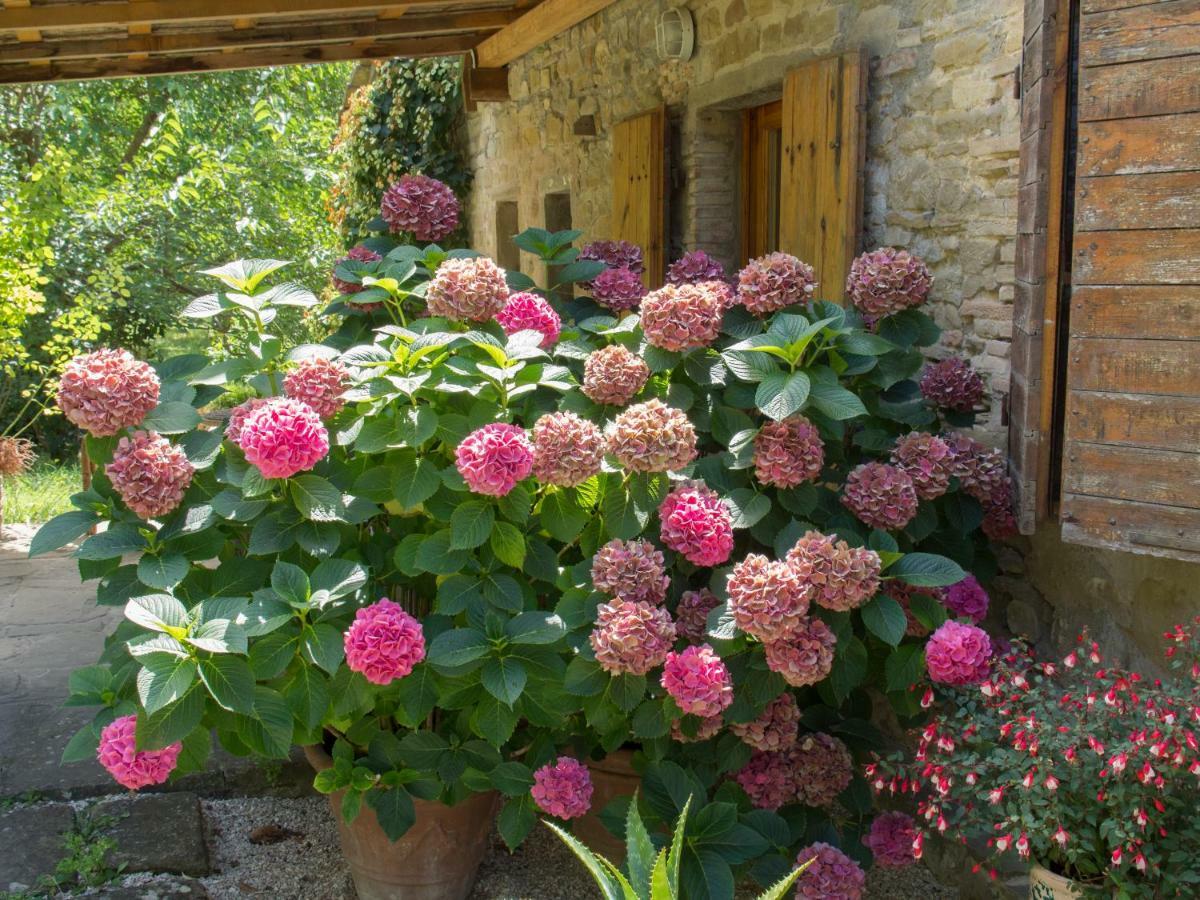 Casa La Valle, Gubbio, Frazione Santa Cristina Bed & Breakfast Bagian luar foto